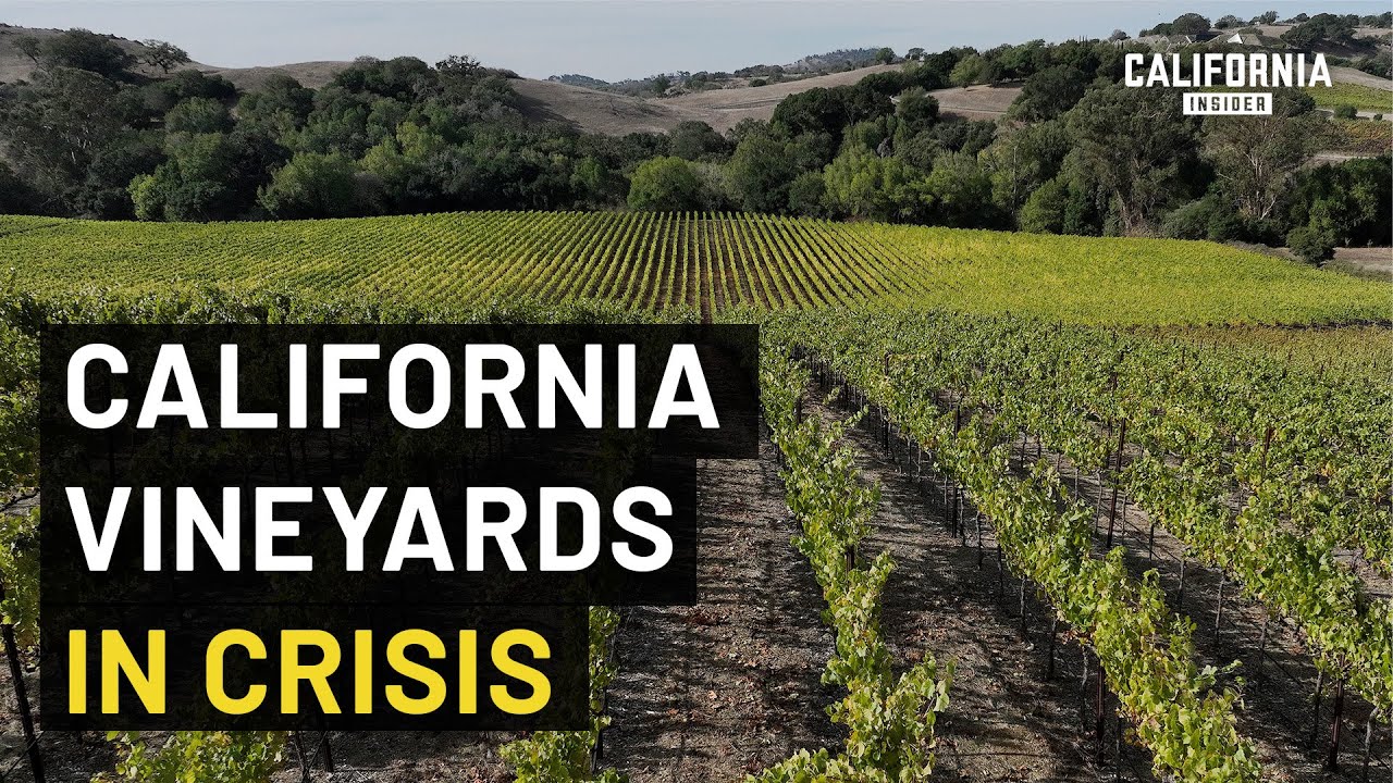 California Wine Faces a Crisis on Multiple Fronts
