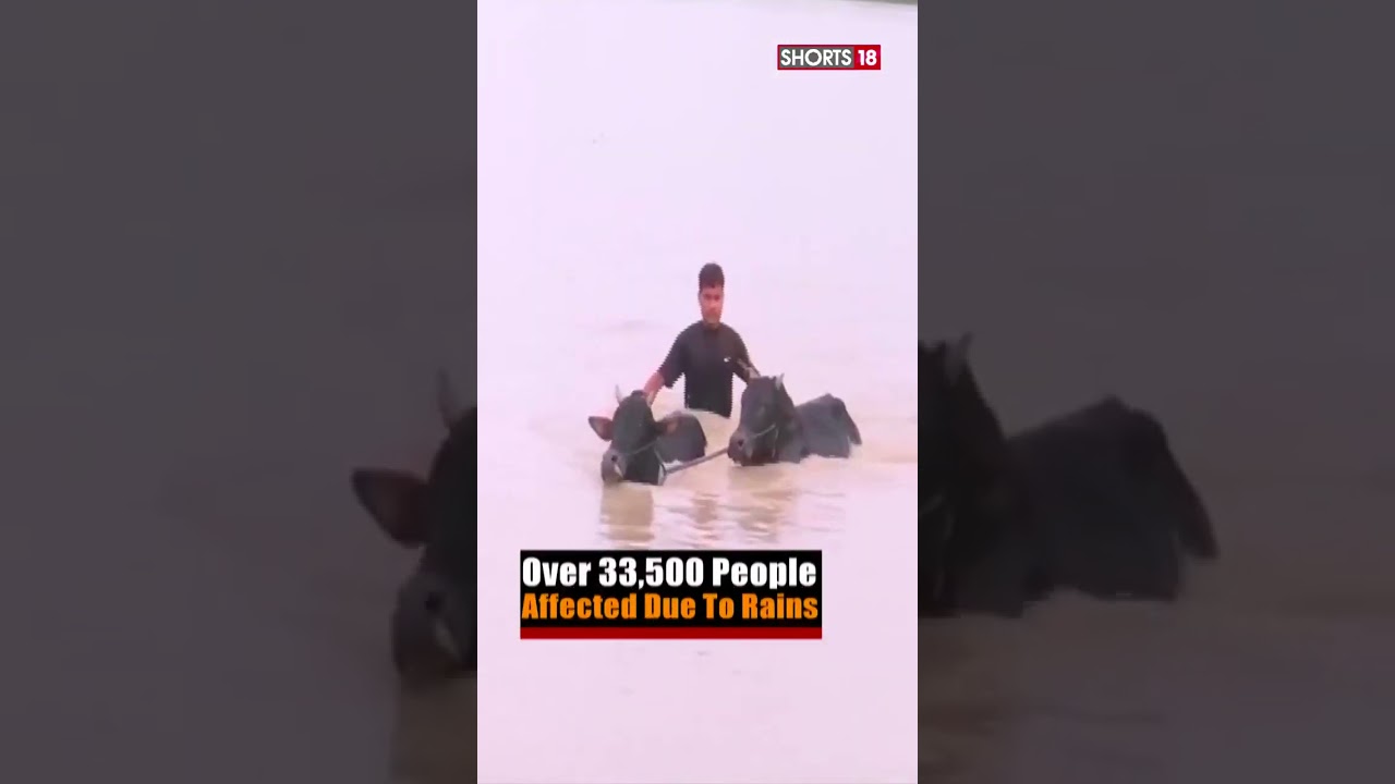 Watch: Assam Flood 2023 | Assam Flood Live Today | Situation Worsens In Assam | Shorts | News18 Urdu
