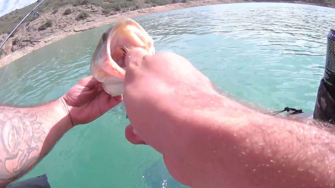 QUE uso PARA pescar   BLACK BASS . EQUIPOS SEÑUELOS y PESCA de black bass