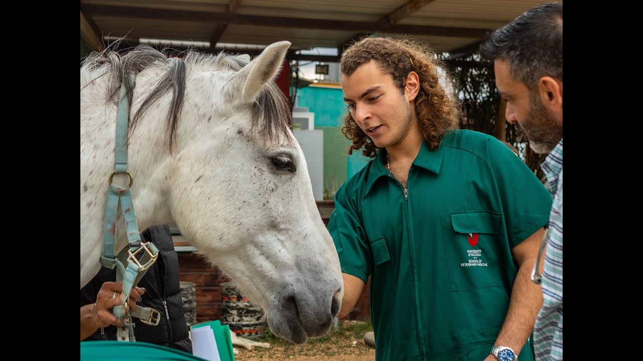 Doctor of Veterinary Medicine, University of Nicosia School of Veterinary Medicine