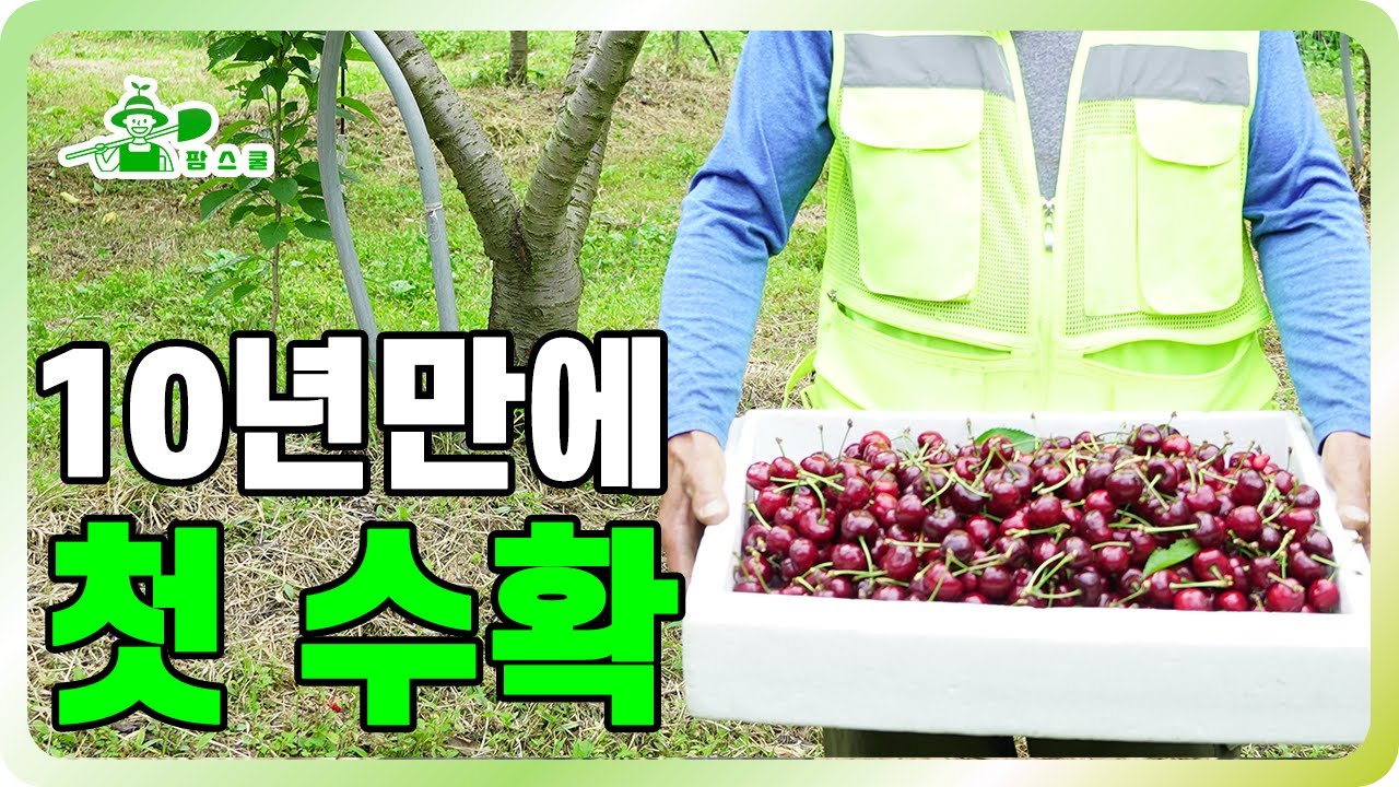 10년만에 첫수확한 작물 ㅣ 극악 난이도 재배 작물 ㅣ 고수확 작물
