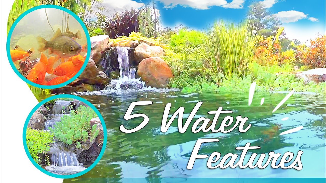 5 BEAUTIFUL KOI PONDS and PONDLESS WATERFALLS! *Lawrenceville, GA* Certified Aquascape Contractor
