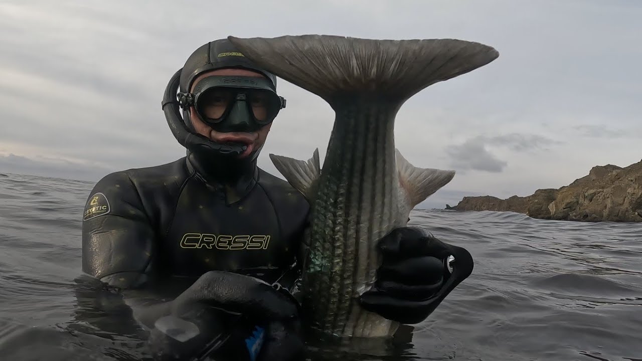 Adada Dev kefal aldık🐟  Çeşit çeşit balık avı❗️ Kremalı Hardallı Balık tarifi❗️Çupra, Eşkina,Ahtapot