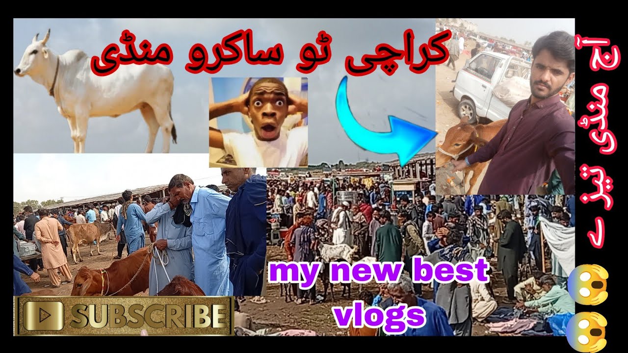 #my#new#bast#vlogs#Mandi Sindh #1millionviews #shoukatalidars#shortvideoformat 