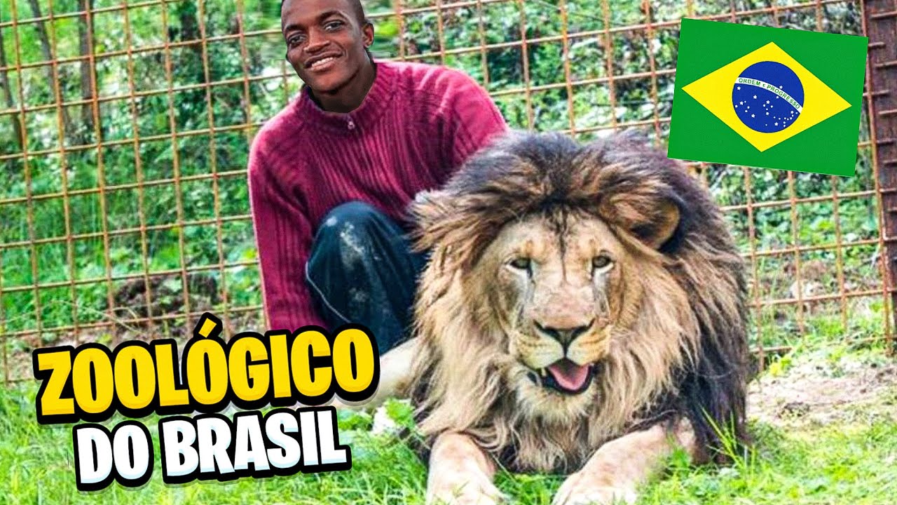 Tour pelo Zoológico de Belo Horizonte!