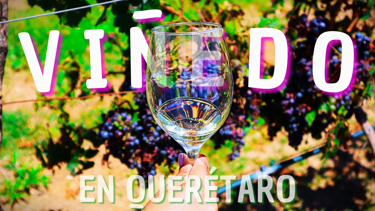 ASÍ ES EL VIÑEDO MÁS GRANDE Y ANTIGUO DE QUERÉTARO 🍇 | Viñedos La Redonda 🍷
