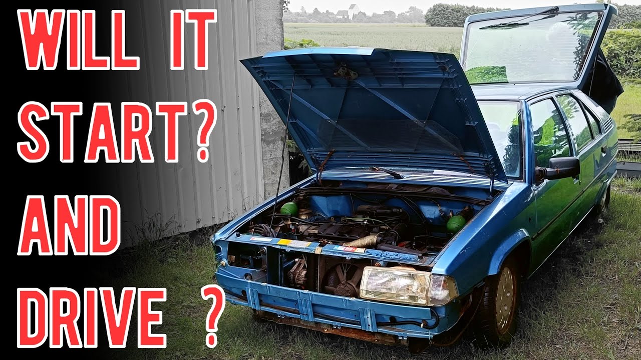 Citroen BX Sitting for 10 YEARS! Will it start and DRIVE home?