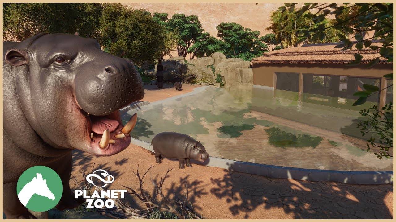 Pygmy Hippo Habitat & Underwater Viewing | Desert Adventure Park | Planet Zoo