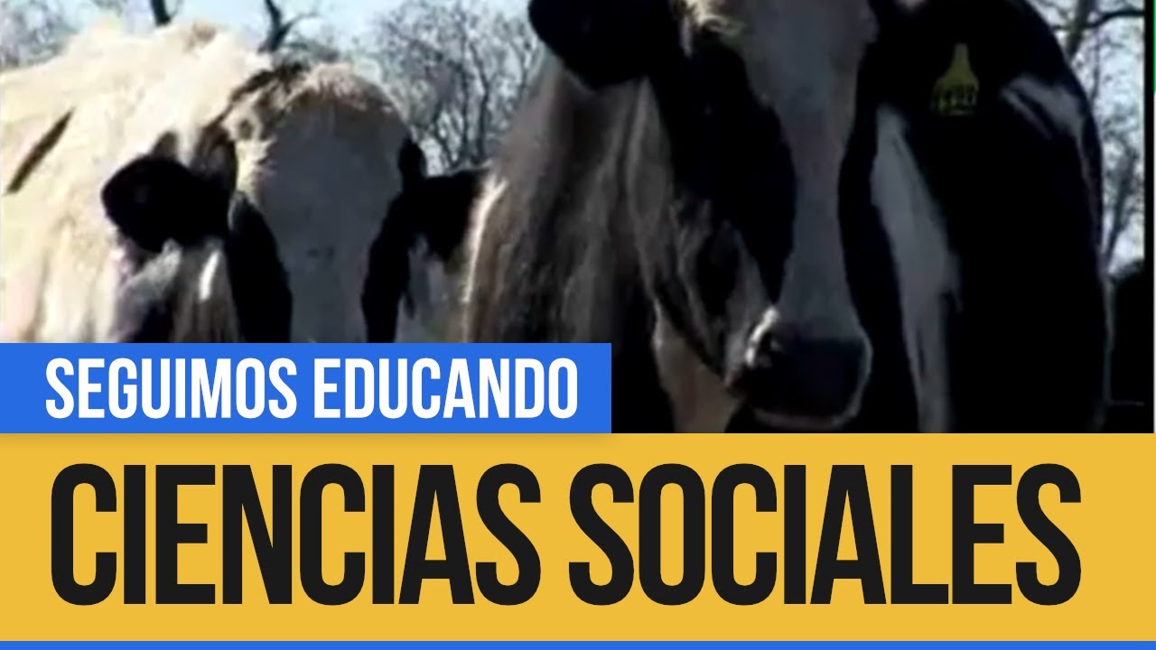 Ciencias Sociales: El circuito productivo de la leche - Seguimos Educando