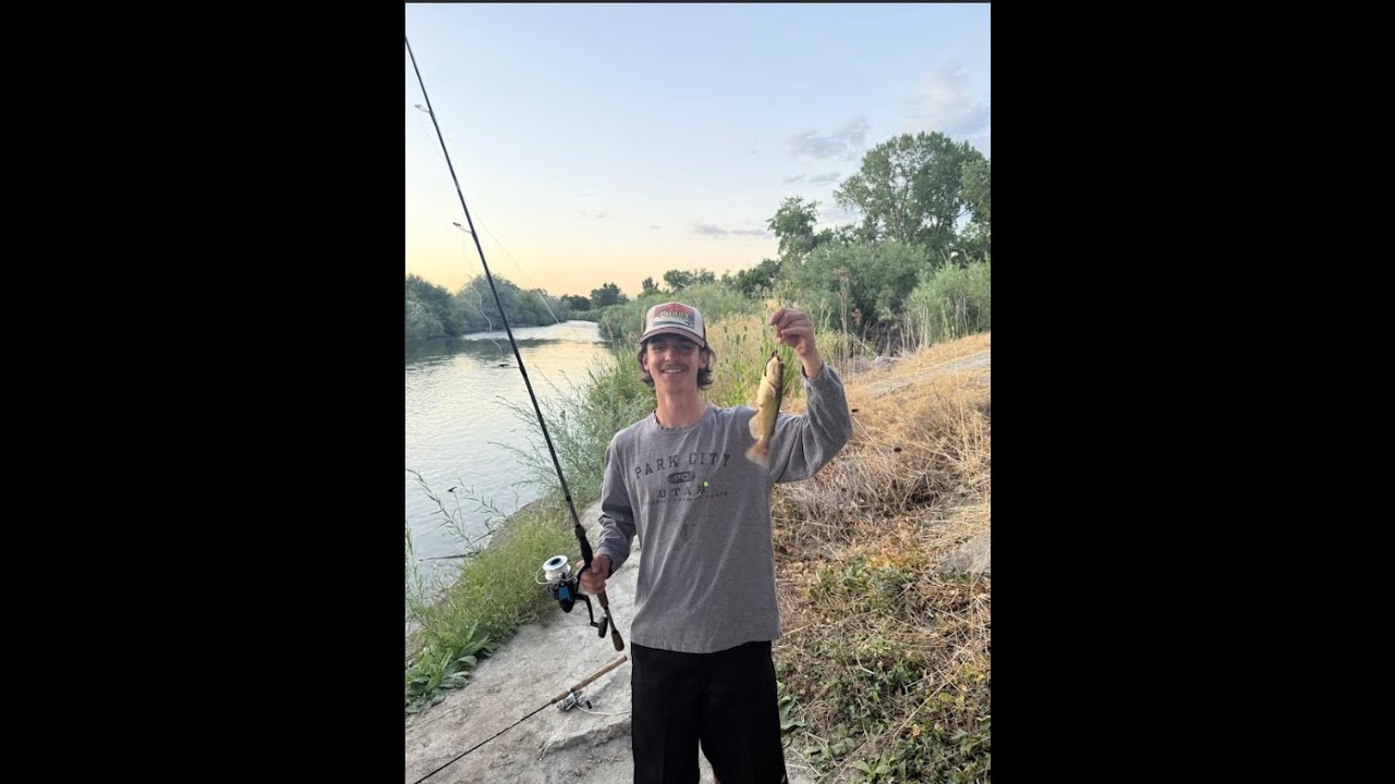 the fish is a distraction