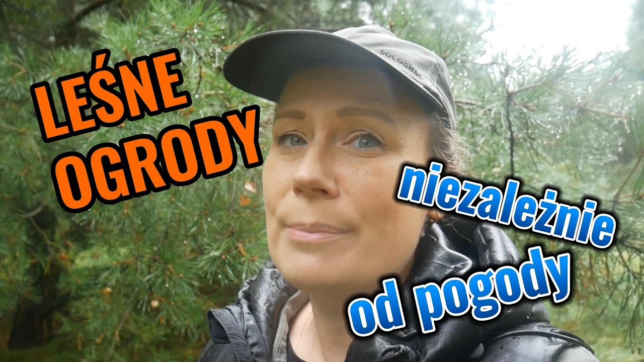 LEŚNE OGRODY... NIEZALEŻNIE OD POGODY!