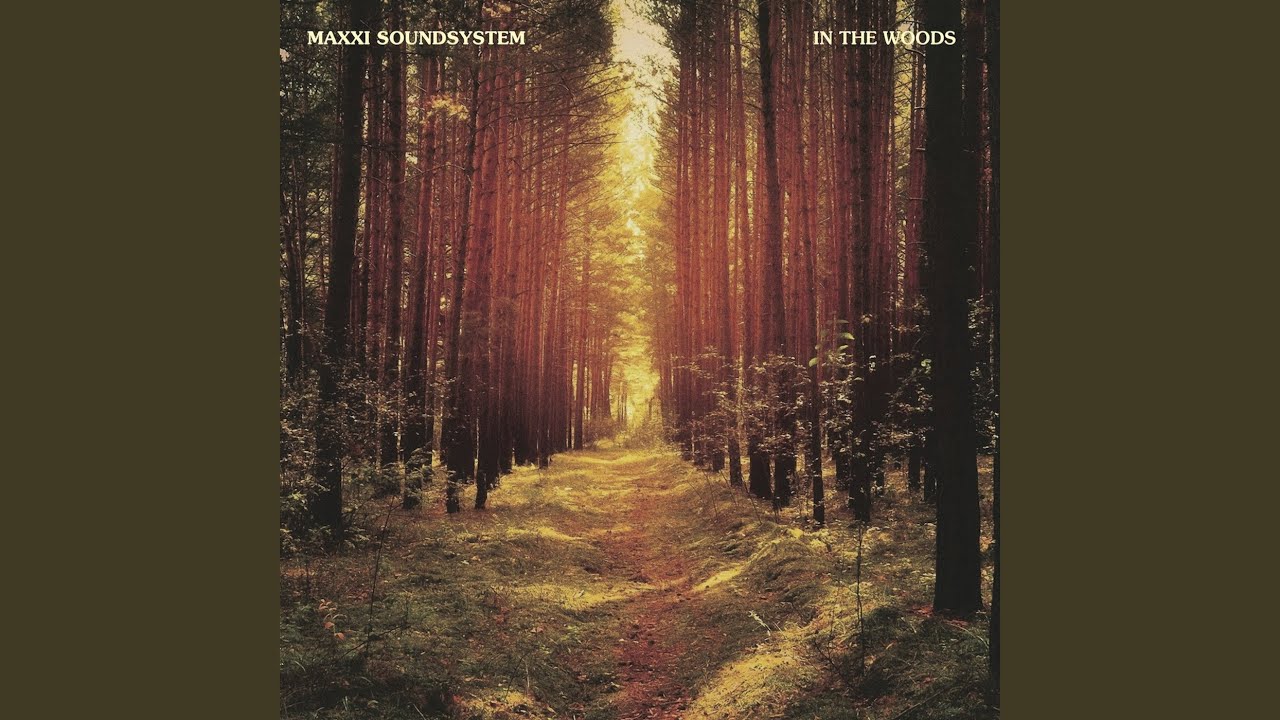 In The Woods