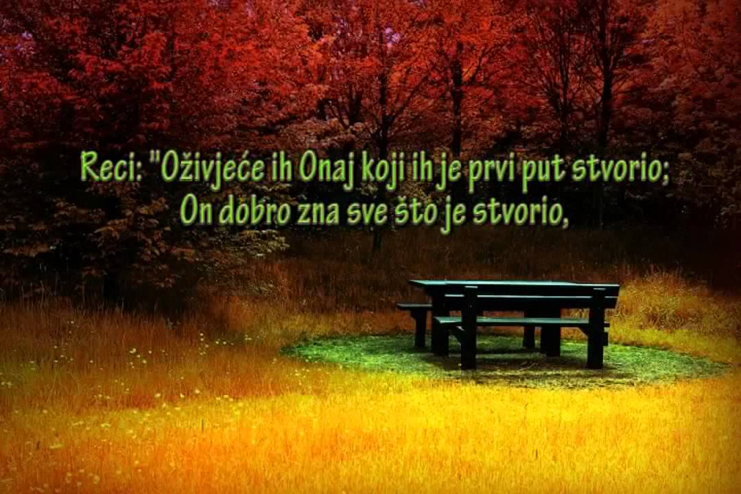 Best Qur'an recitation  Prelijepo učenje Kur'ana  Bosanski prevod - Bosanski titlovi