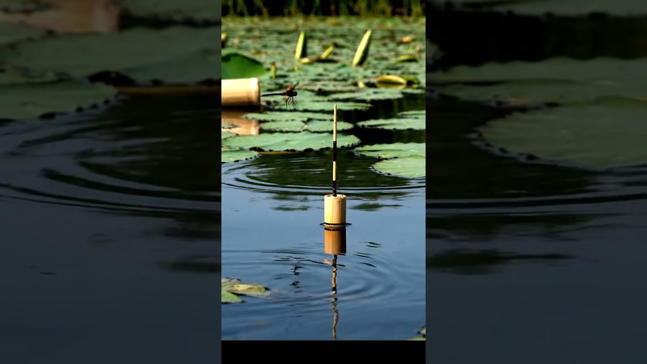 🎣🤯 Bream CAN'T Bite THIS! Unbeatable Fist Bait Rig (Proof!) #Fishing #BreamFishing