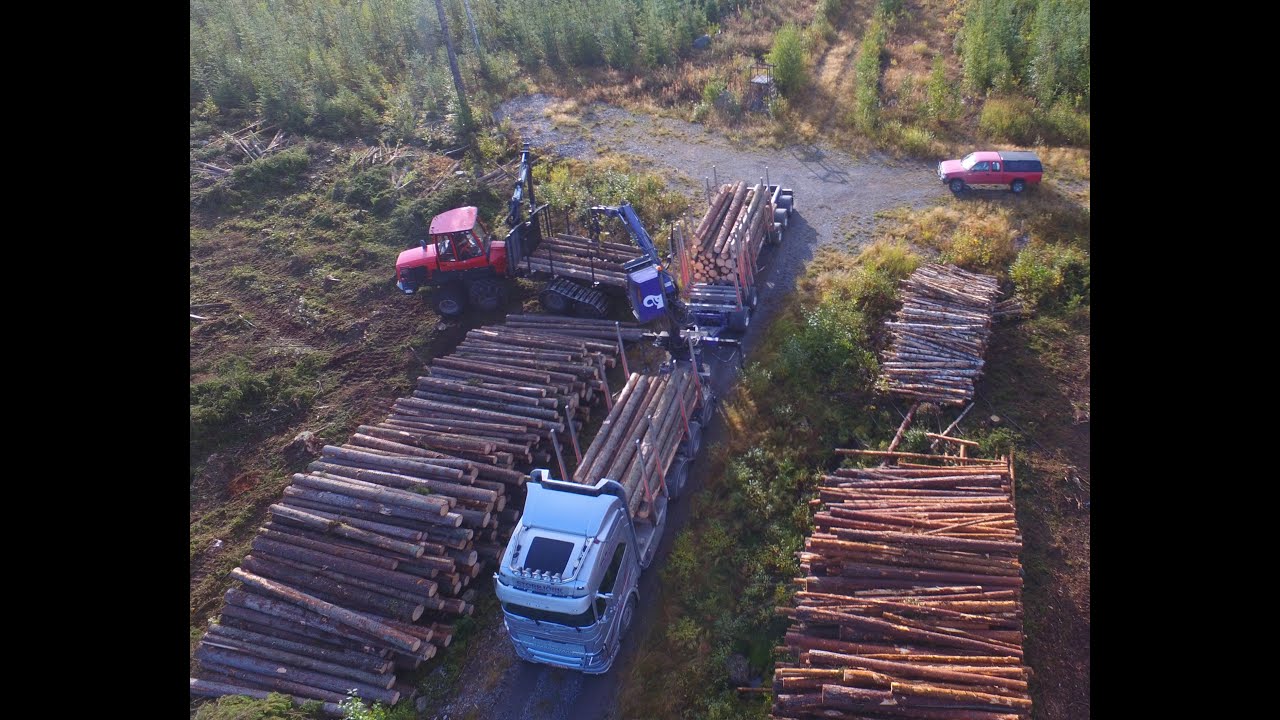Volvo FH 16 750 timber truck loading