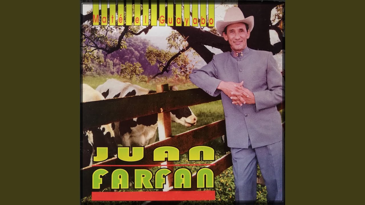 Panorama de Mi Vida