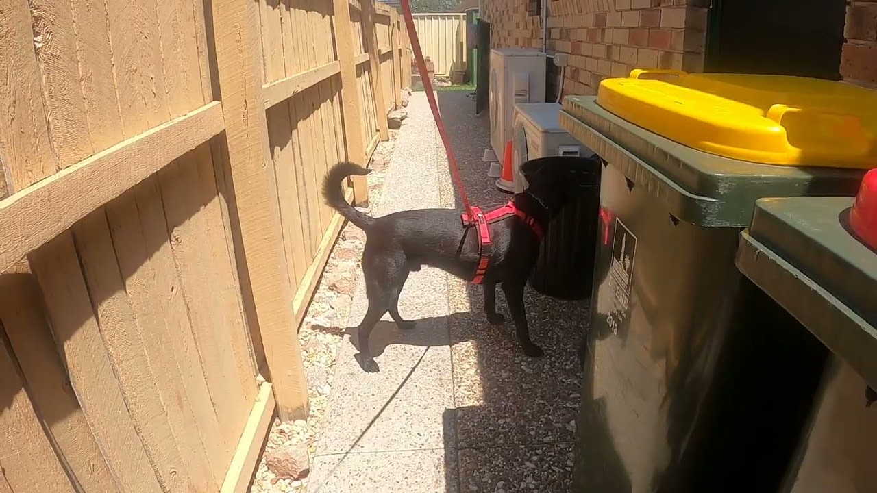 08 November 2025 Diesel Ultimate prep session 1