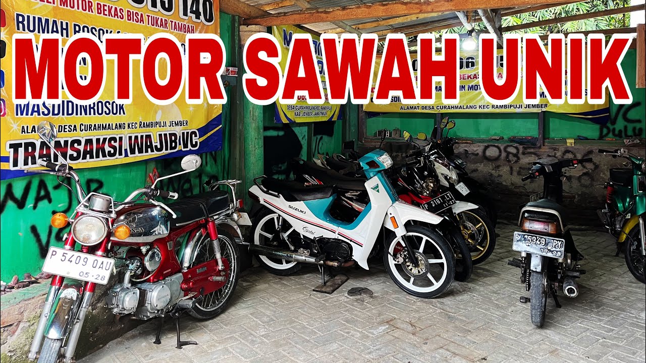 ❌❌TERJUAL❌ADA YANG 1 JUTA 600 SURAT LENGKAP TENANG..‼️ DIJUAL SEMUA WAJIB NONTON⁉️