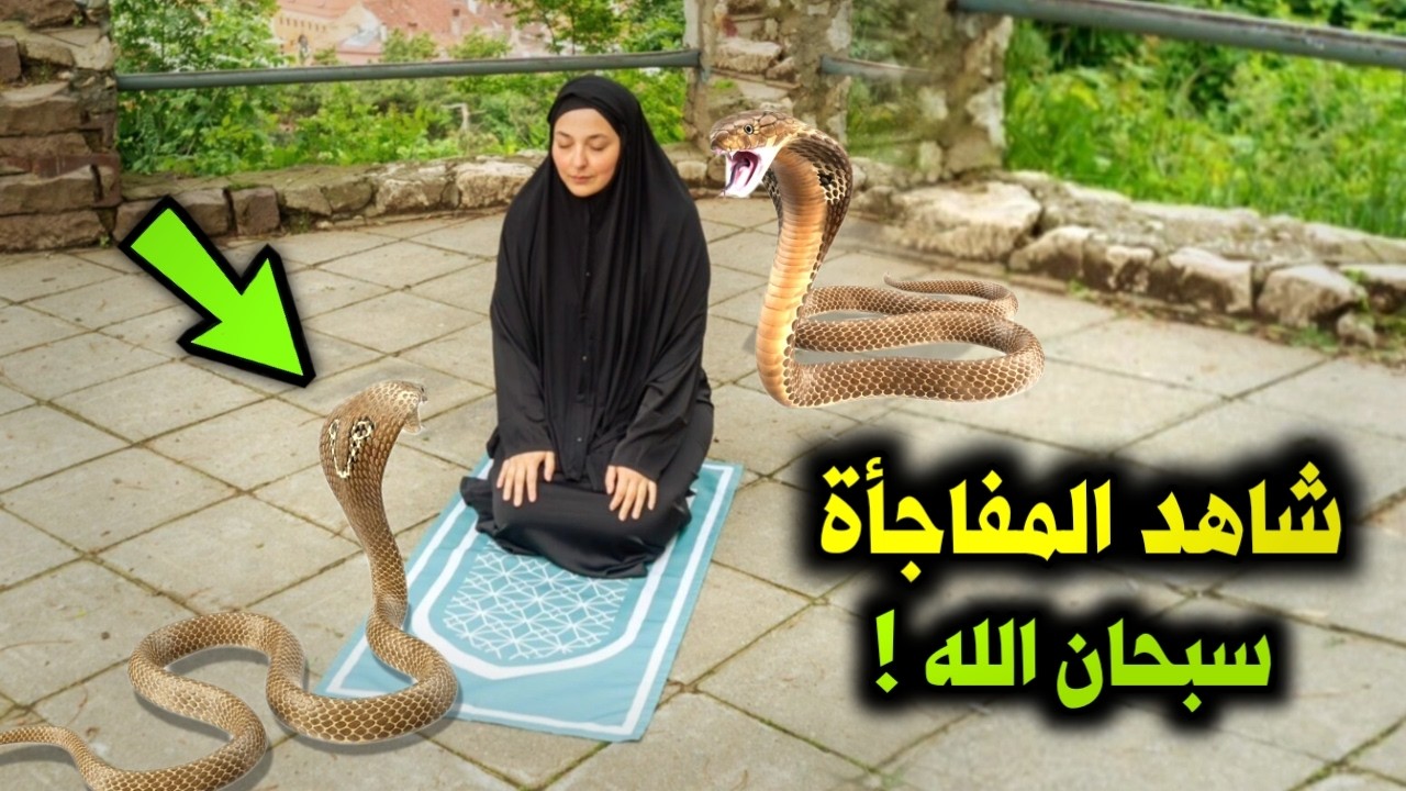 شاهد ماذا فعلت هذه المرأة عندما هجم عليها ثعبان ضخم وهي تصلي وماذا فعل الله معها ؟ معجزة سبحان الله