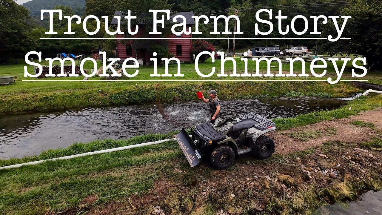 Trout Farm Story - Smoke in Chimneys @smokeinchimneys8681