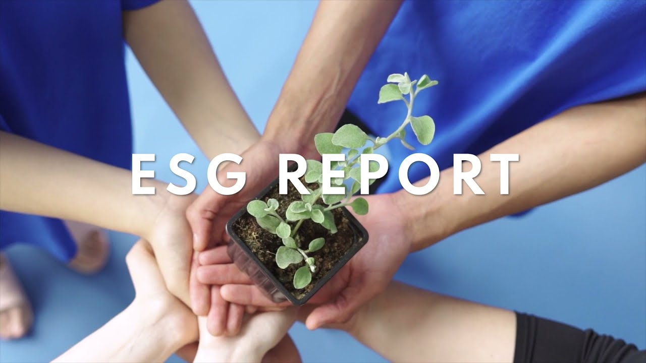 What does SOS do? | Sustainable Office Solutions | Circular Furniture | Circular Economy