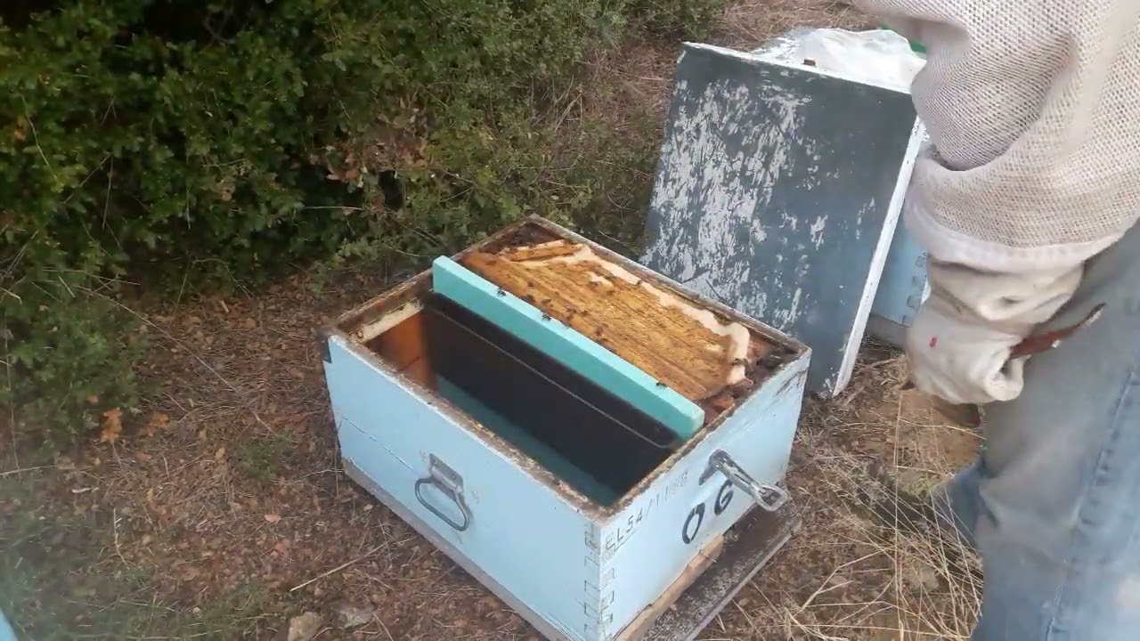 Προετοιμασίες για ξεχειμώνιασμα