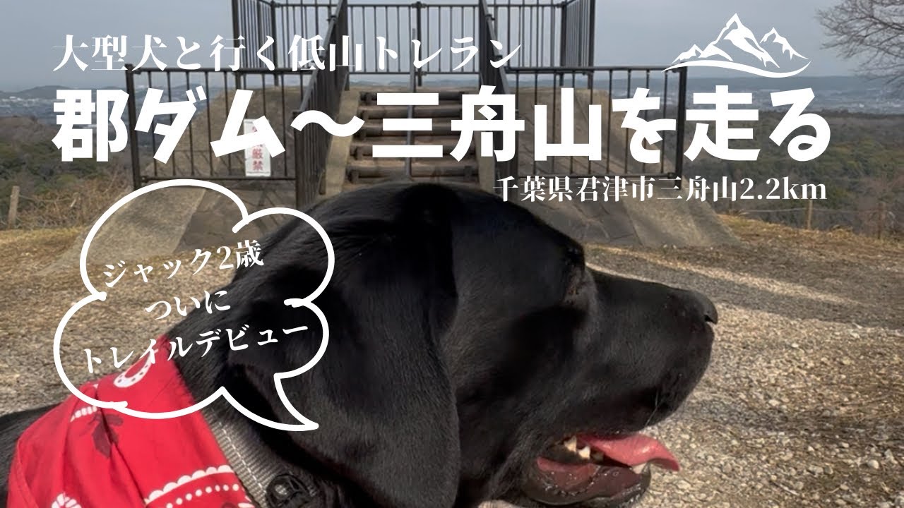 【日帰りトレラン】長距離練で鍛えた結果、飼い主の方がバテる程にたくましく走ったJack