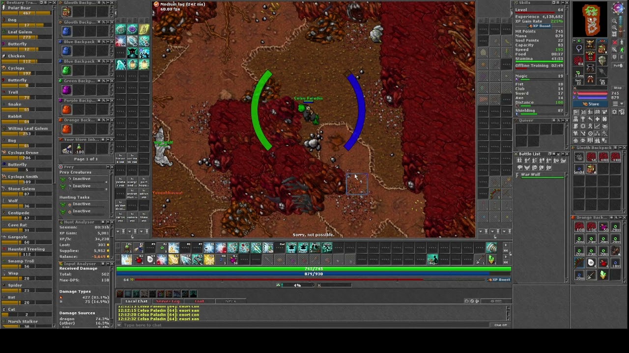 Tibia - Boar, War Wolf, Bear, Wolf, Wyvern 