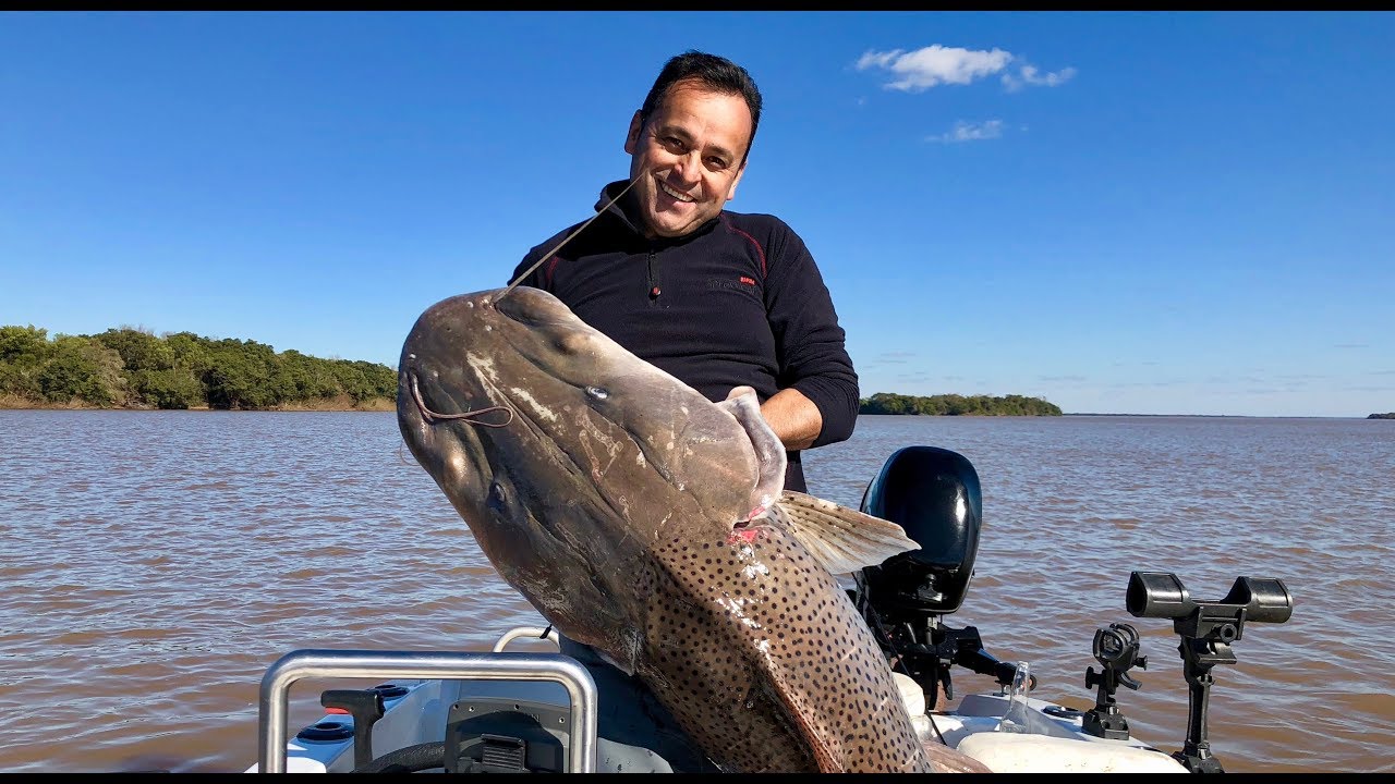 PESCA DE SURUBI 46 Kg RIO URUGUAY