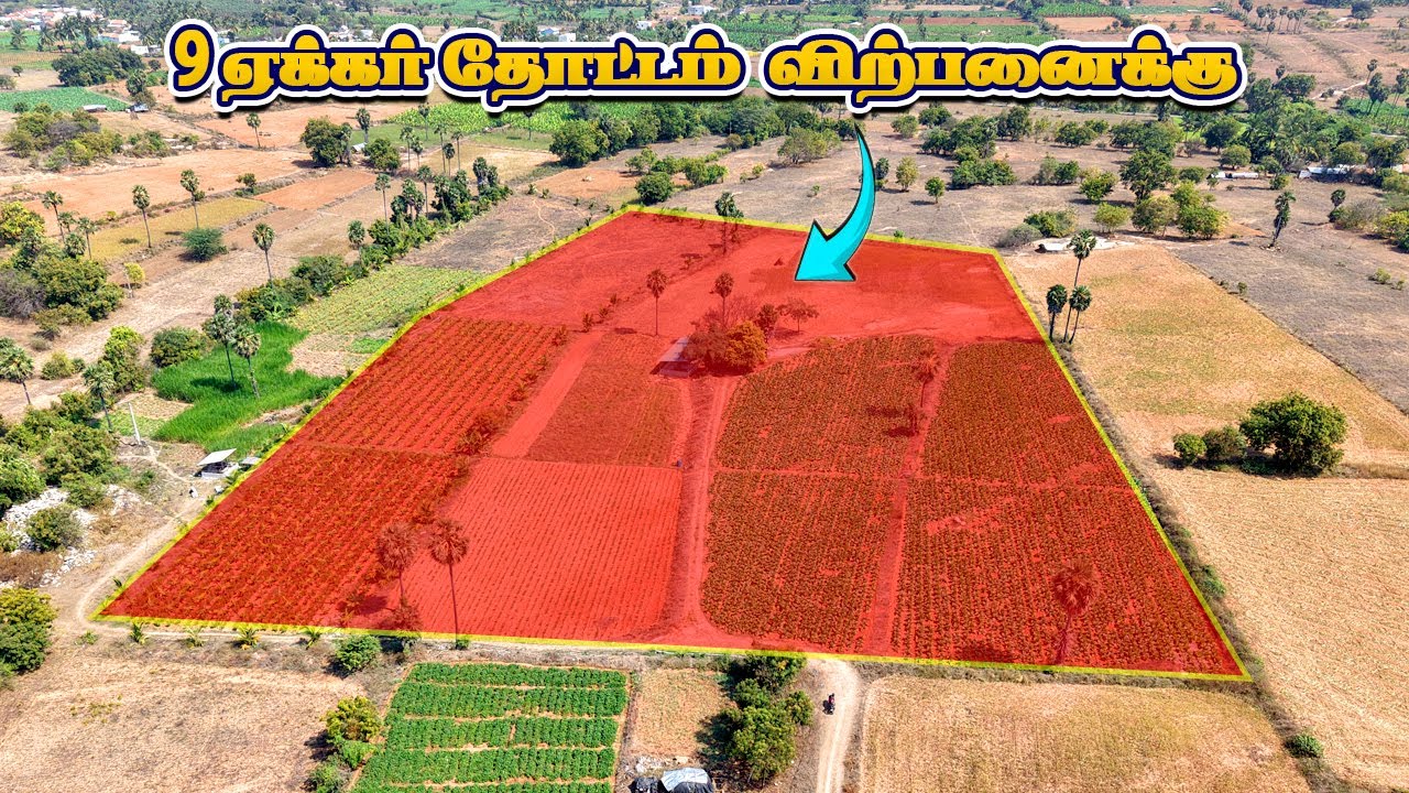 பசுமையான 9 ஏக்கர் தோட்டம் மிக குறைந்த விலையில் விற்பனைக்கு | Farmland for Sale in Puliyampatti