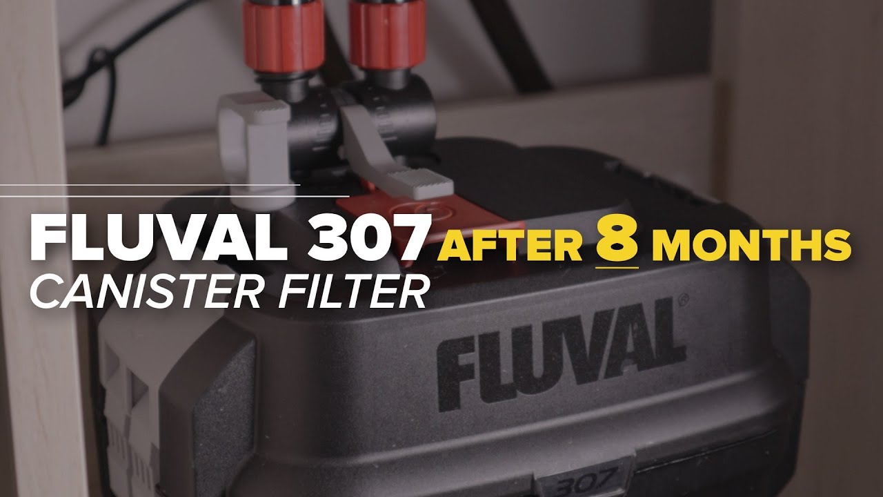 8 Months Update & Maintenance Fluval 07 Series Canister Filter | Fluval 107 207 307 407