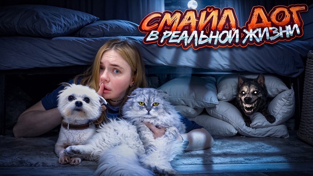 СМАЙЛ ДОГ В РЕАЛЬНОЙ ЖИЗНИ | 24 ЧАСА ПОД КРОВАТЬЮ С КОТАМИ И СОБАКОЙ