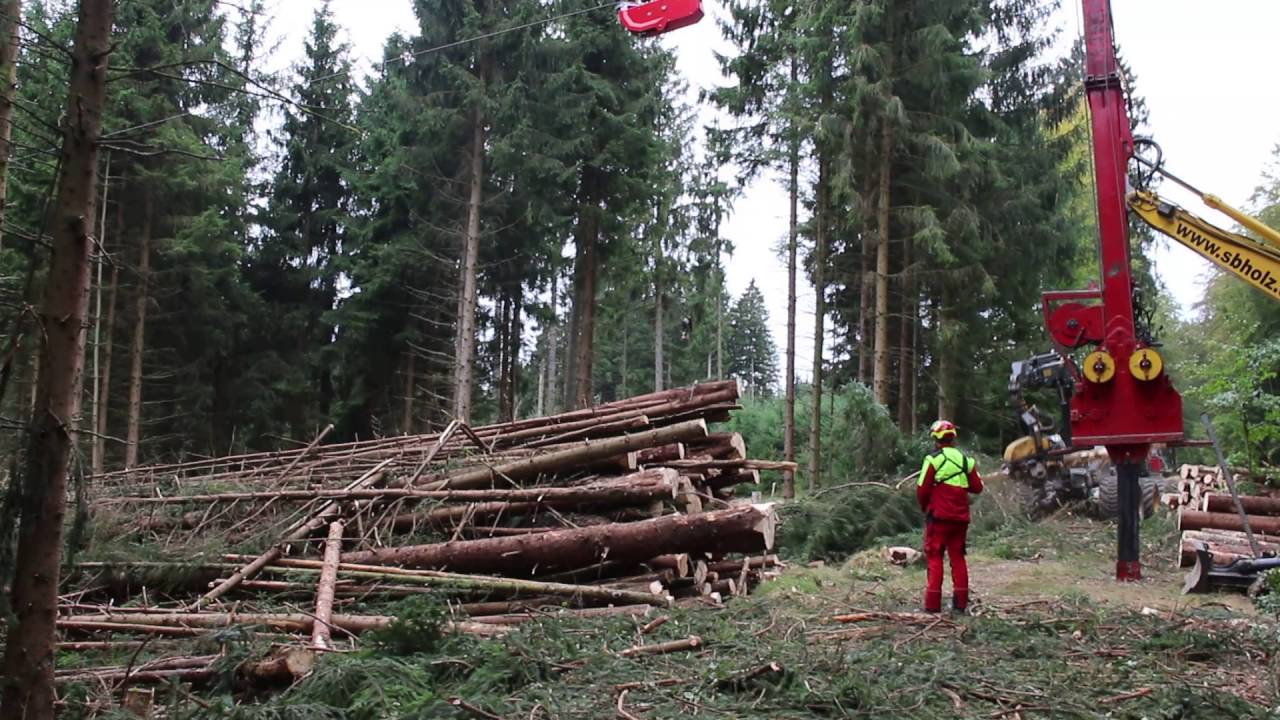 Seilkran-Einsatz im Nationalpark Hunsr&uuml;ck-Hochwald