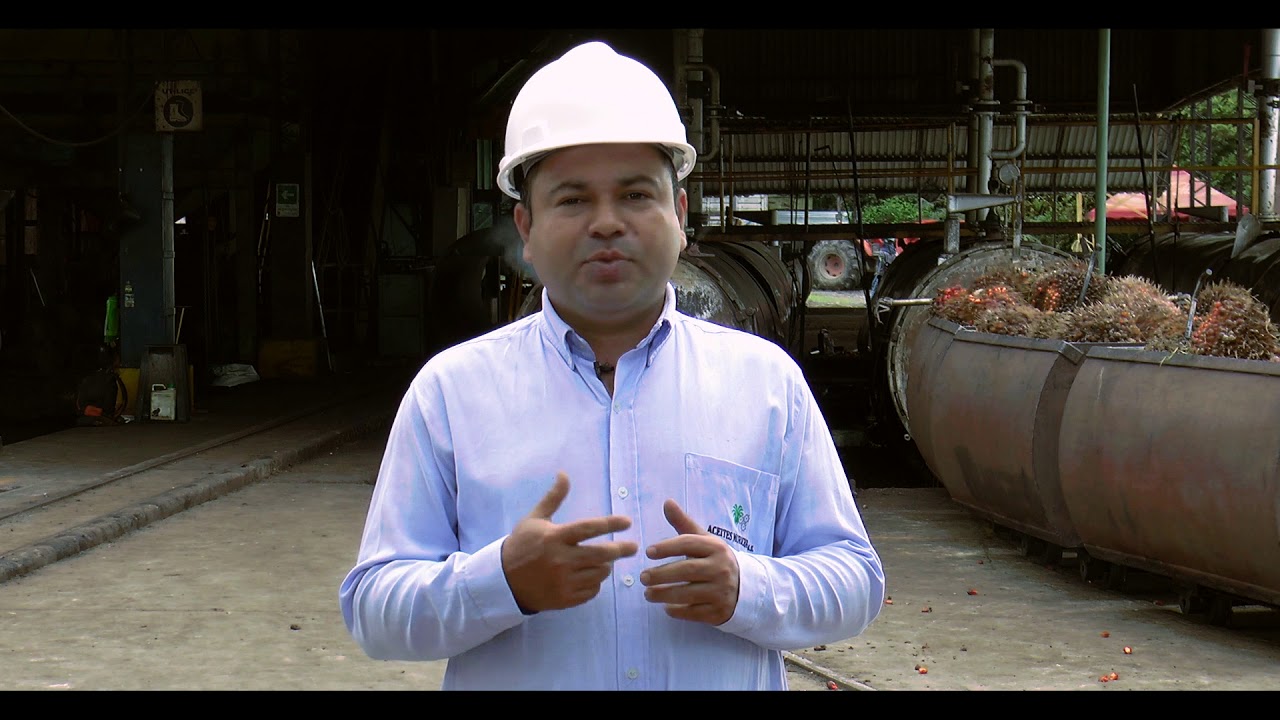Vídeo corporativo de la Empresa Aceites Morichal S.A.S