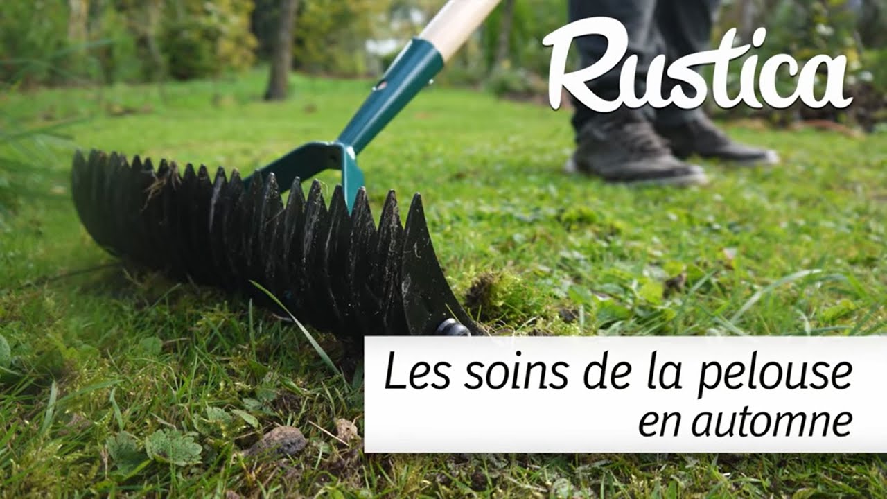Les soins de la pelouse en automne