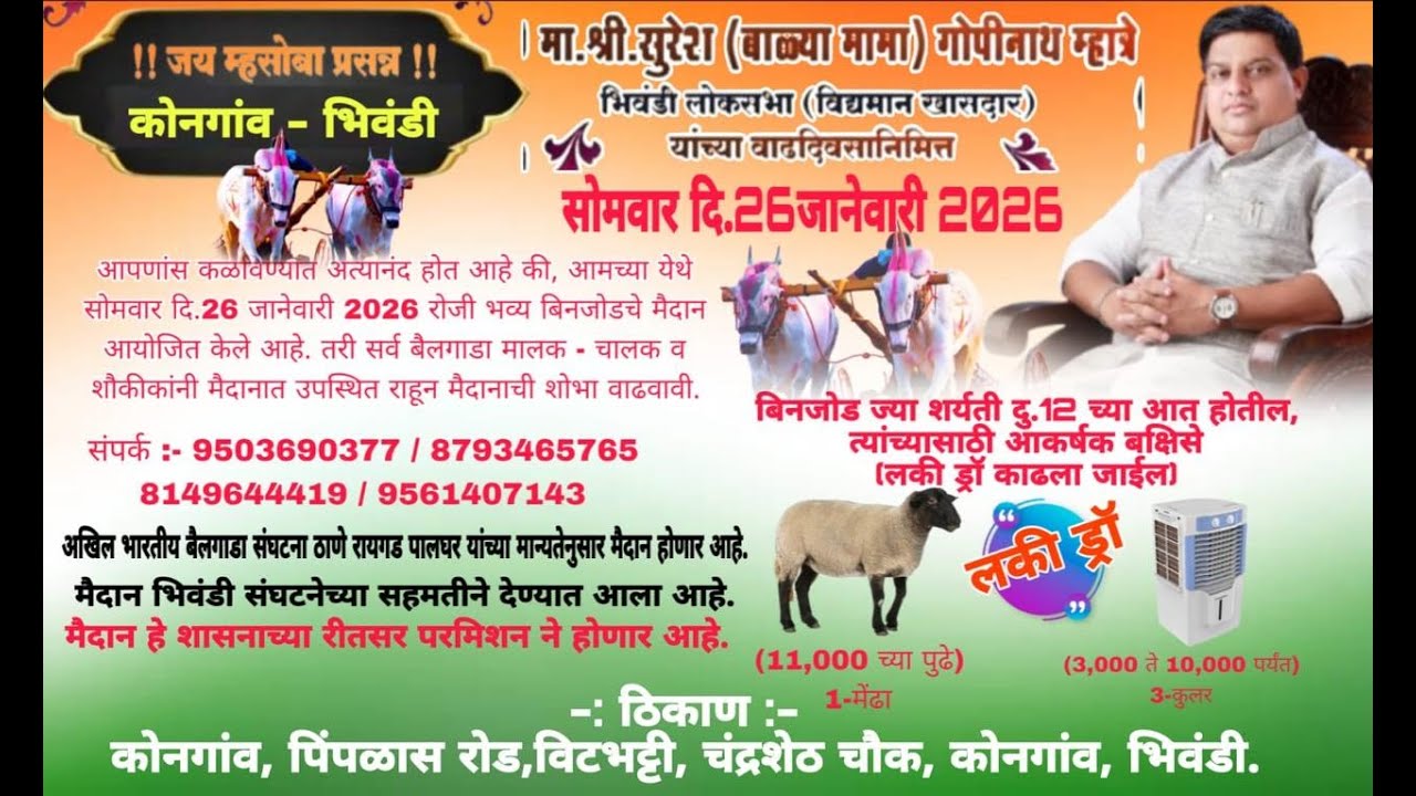 भव्य बैलगाडा शर्यत | जय म्हसोबा बैलगाडा संघटना कोणगाव | चांद्रयाशेठ चौक कोणगाव #PRINCE MOVIES