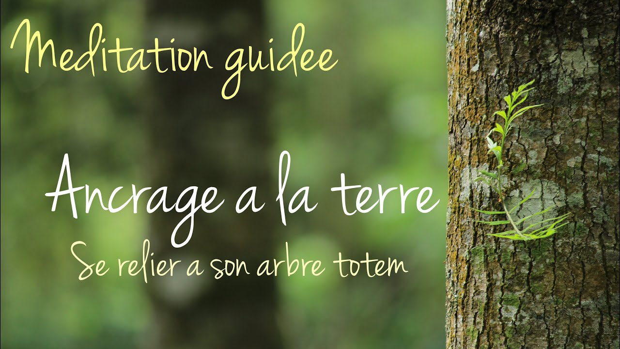 Méditation ancrage à la terre | Rencontrer son arbre totem | Protection
