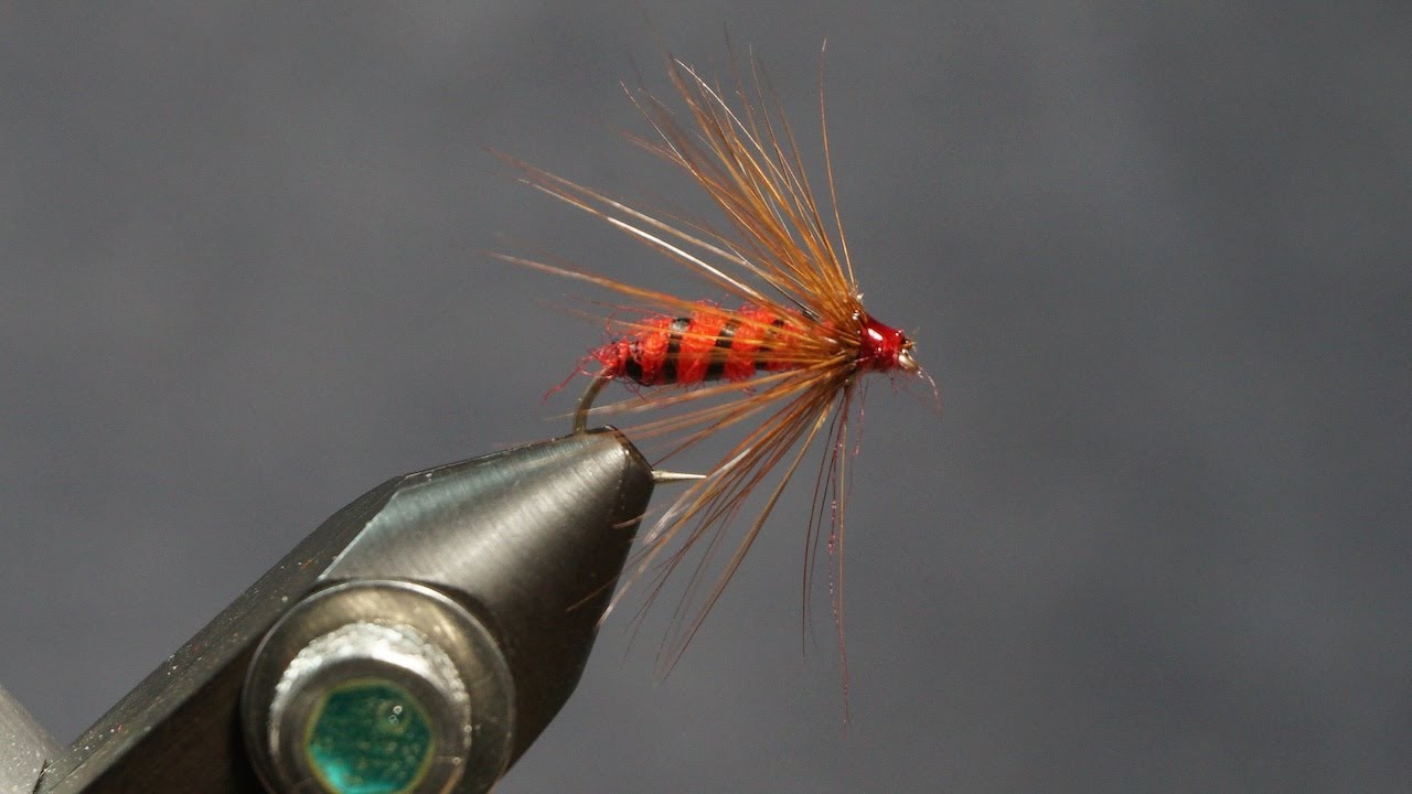 The Red Hackle - from Mary Orvis Marbury’s Favorite Flies