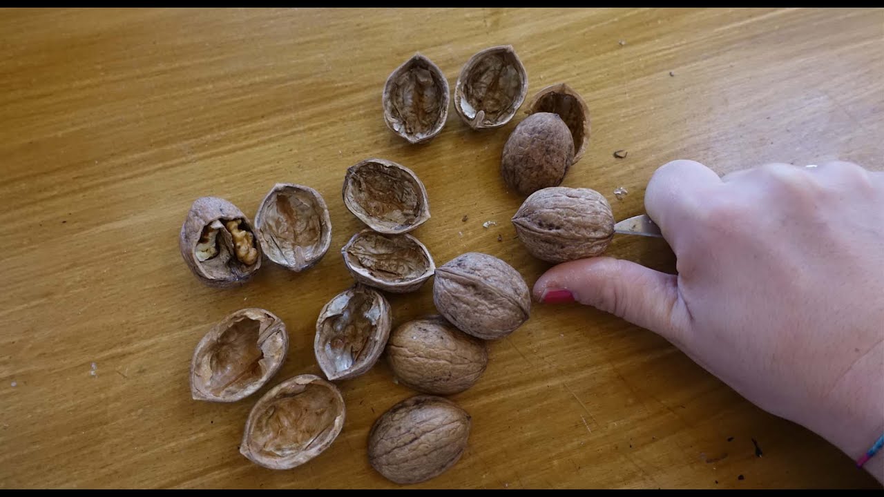 Guarda cosa creo con le NOCI