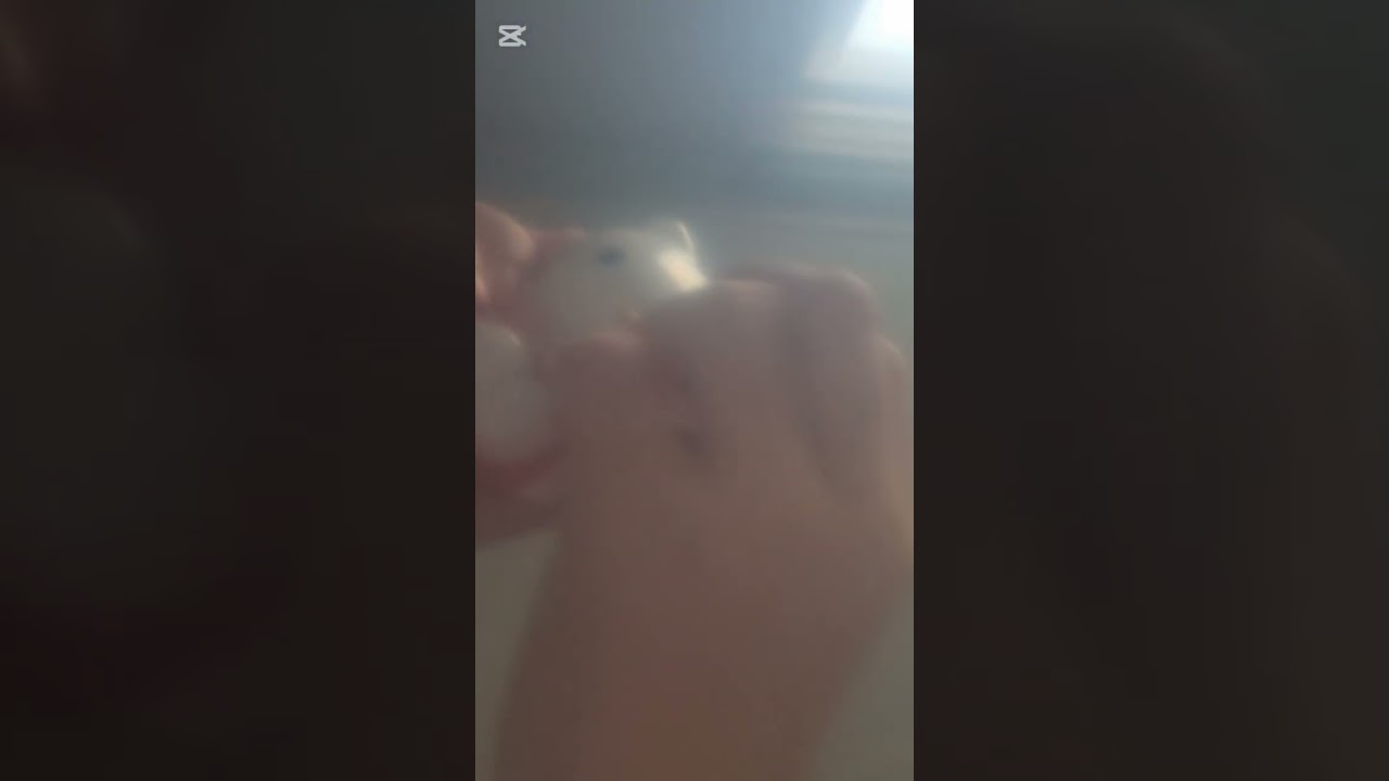 asmr🐱🐶