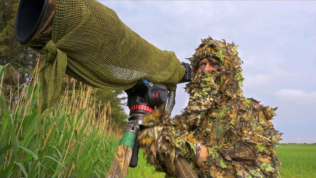 WILDLIFE PHOTOGRAPHY when it's best - The Nikon Z6 in action