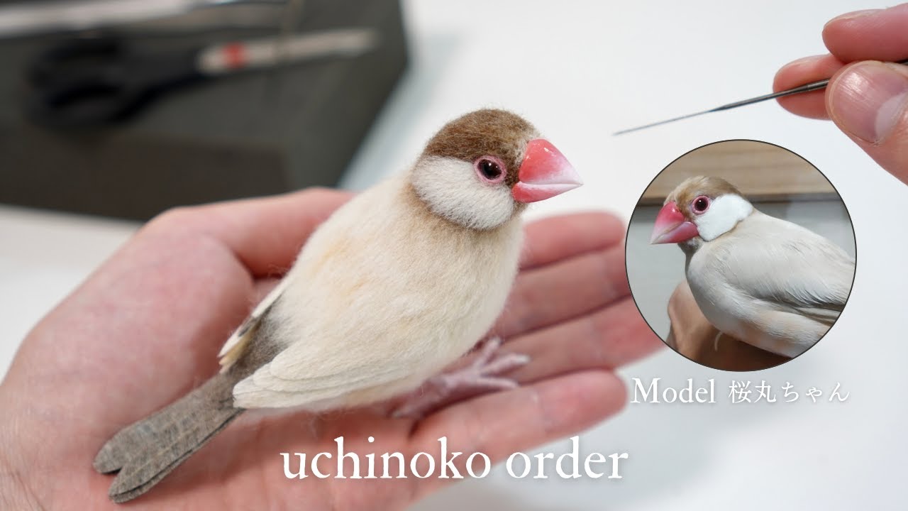羊毛フェルトで文鳥を作る過程/ The process of making a Java sparrow with wool felt.