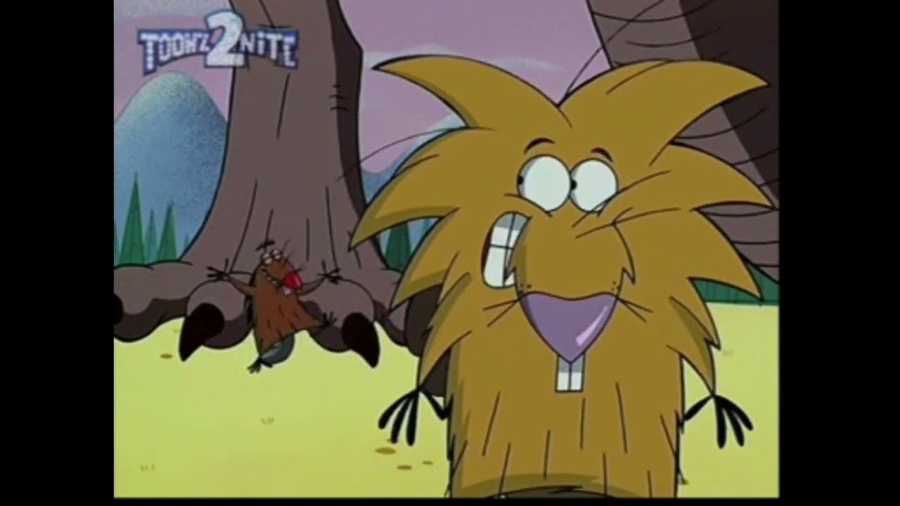 Angry Beavers: 