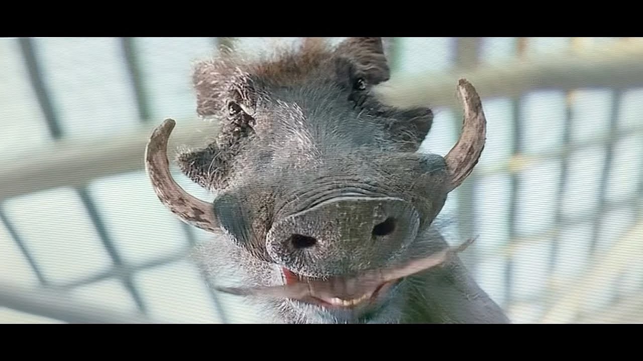 Seth Rogen Pumbaa is back in Chip and dale rescue rangers