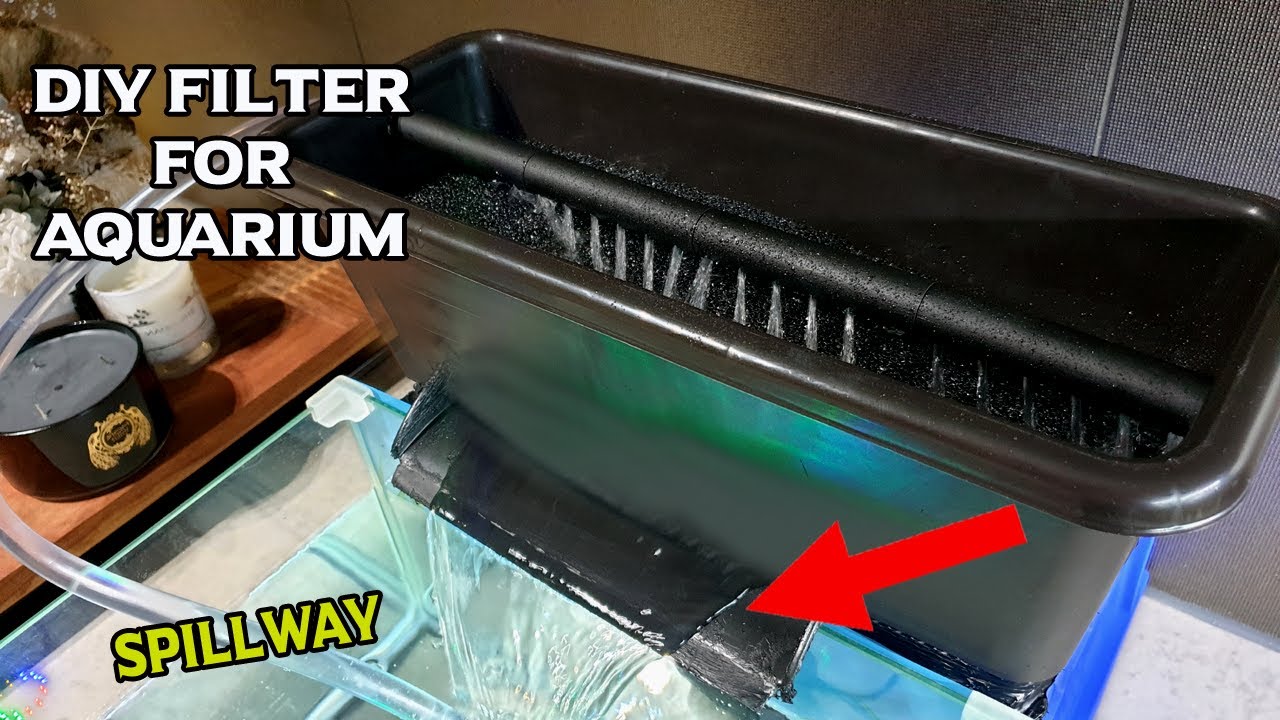 DIY Aquarium Filter Box With Spillway