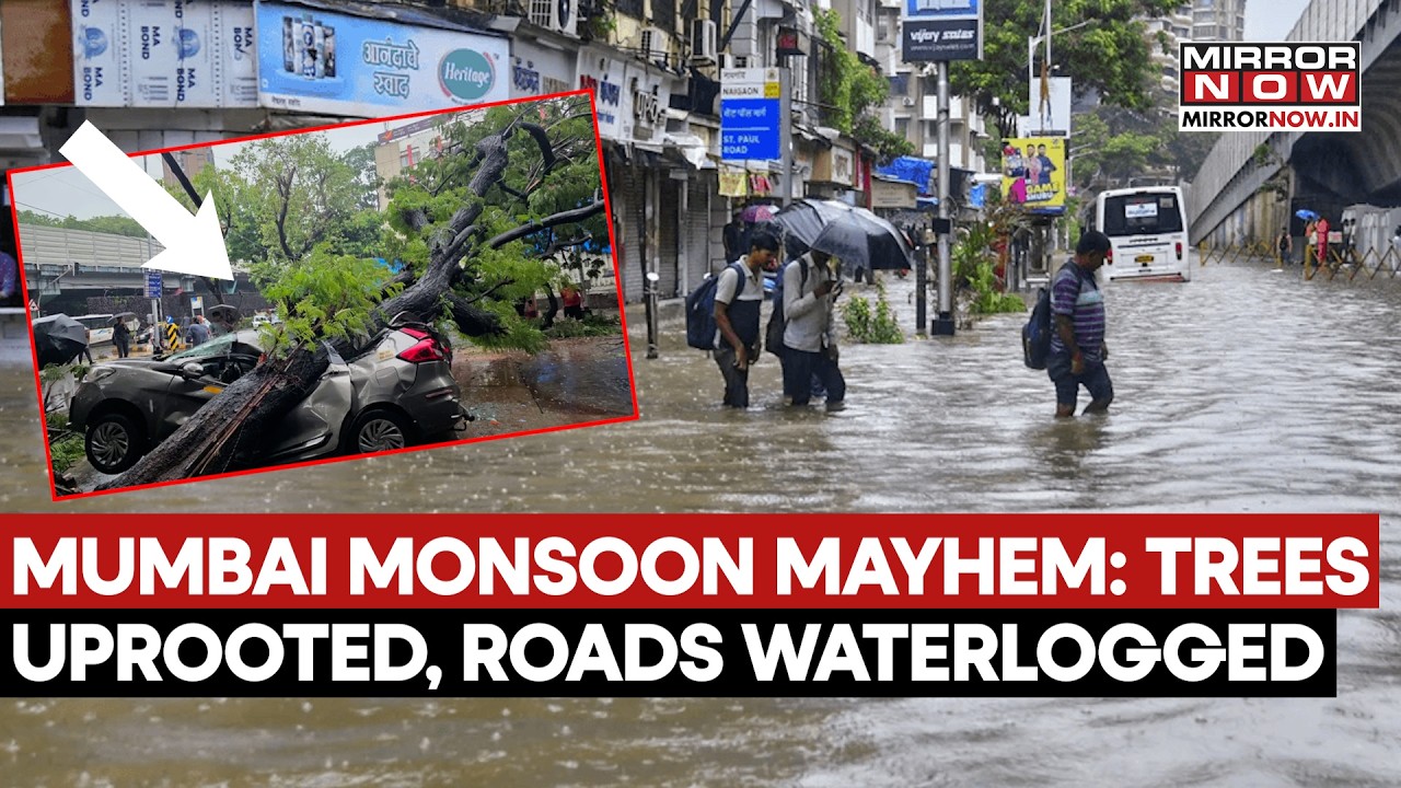 Mumbai Monsoon Mayhem: Trees Uprooted, Roads Waterlogged, Traffic Congestion Due To Heavy Rain
