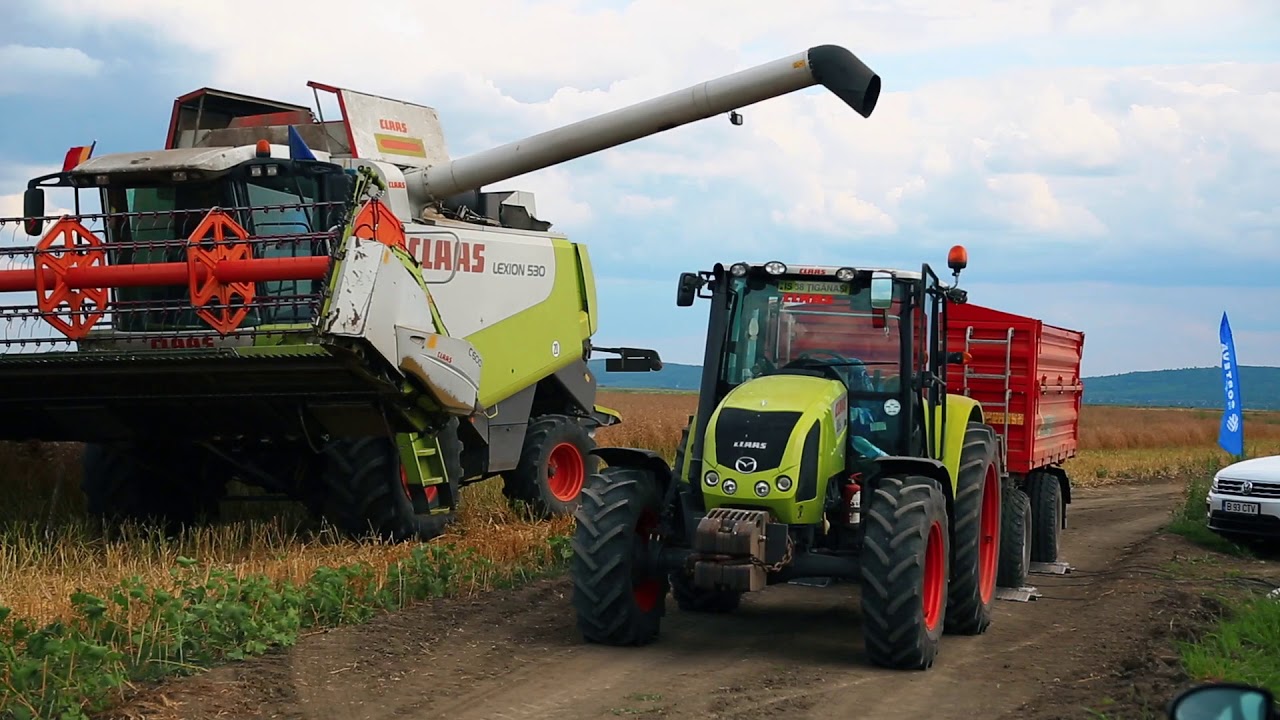 Recoltare rapita Pioneer® in Tiganasi - Iasi 2019