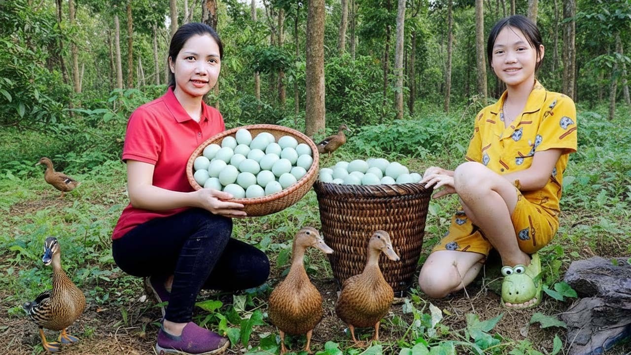 Harvesting Thousands Of Duck Eggs To Sell At The Market - Cooking | Hanna Daily Life