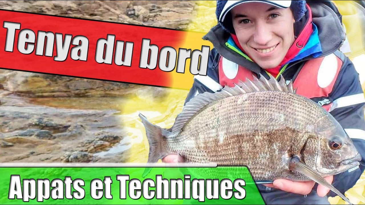 COMMENT PECHER au TENYA du BORD : las appâts et Techniques d'animation : Episode 2/2