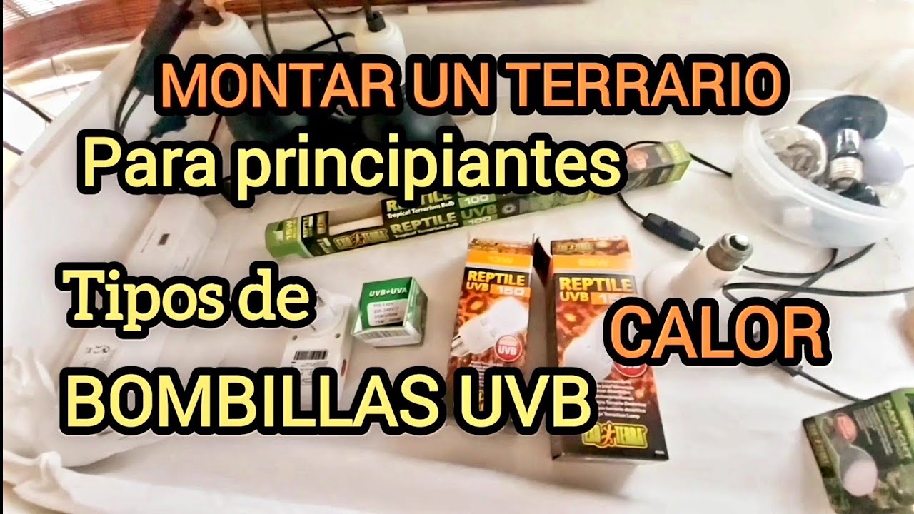 iluminacion para tortugas terrario interior tipos bombilla SODIO Bajo Consumo UVB CALOR